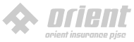 Orient Insurance 1
